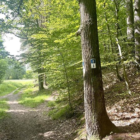 Landhotel Hubertus Unterelsbach Kültér fotó