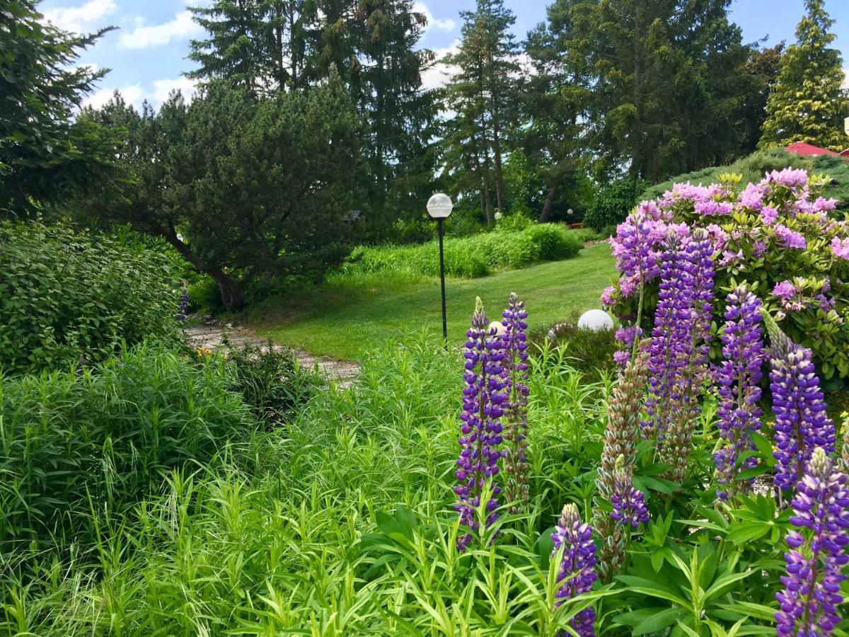 Landhotel Hubertus Unterelsbach Kültér fotó