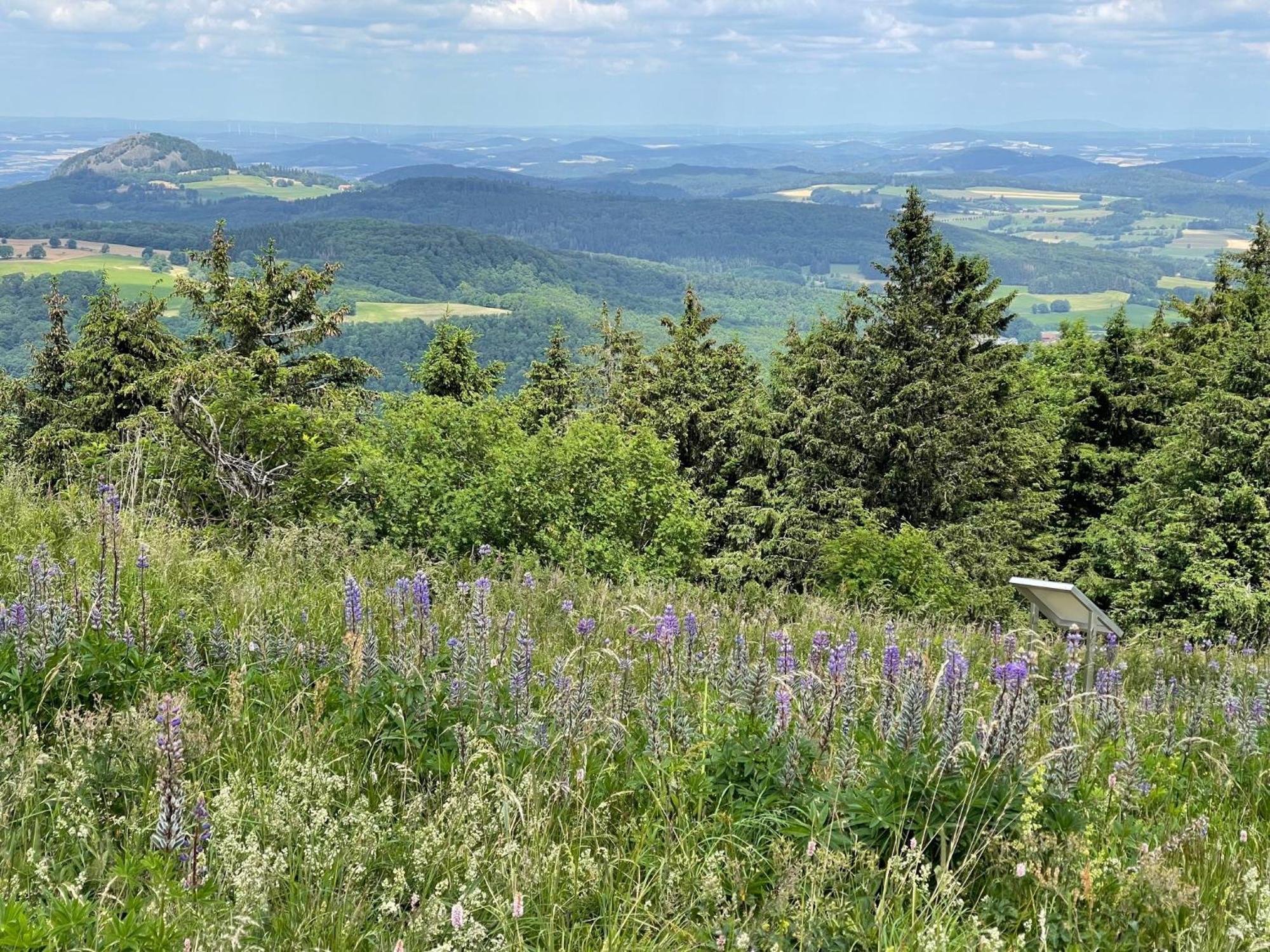 Landhotel Hubertus Unterelsbach Kültér fotó