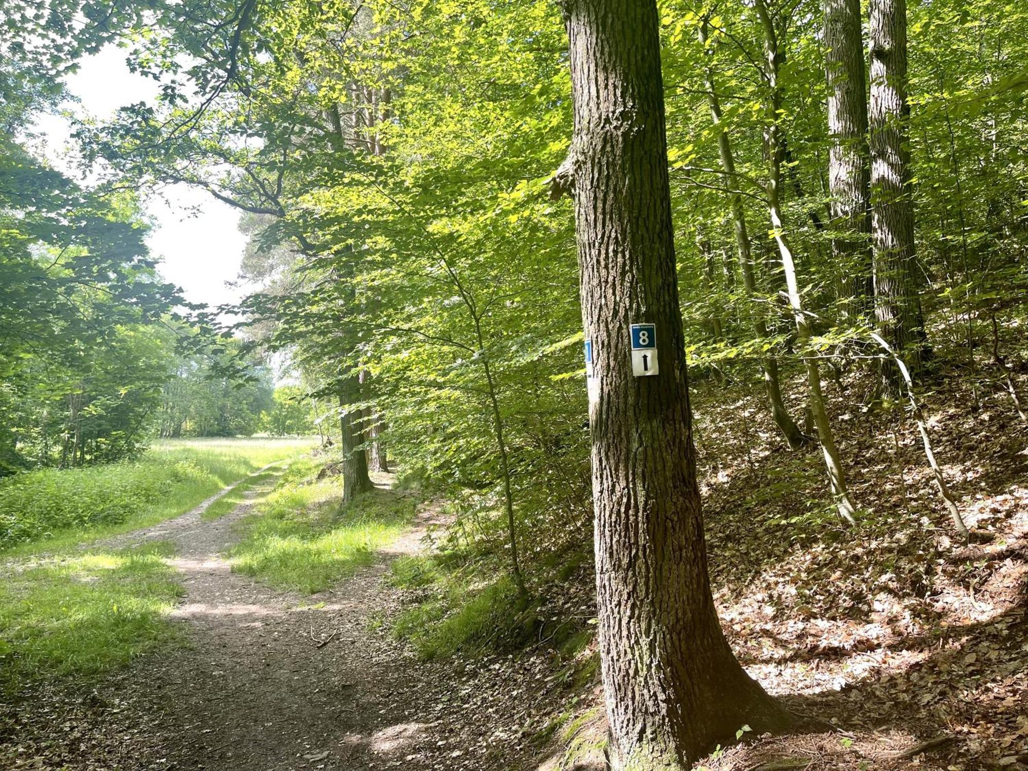 Landhotel Hubertus Unterelsbach Kültér fotó