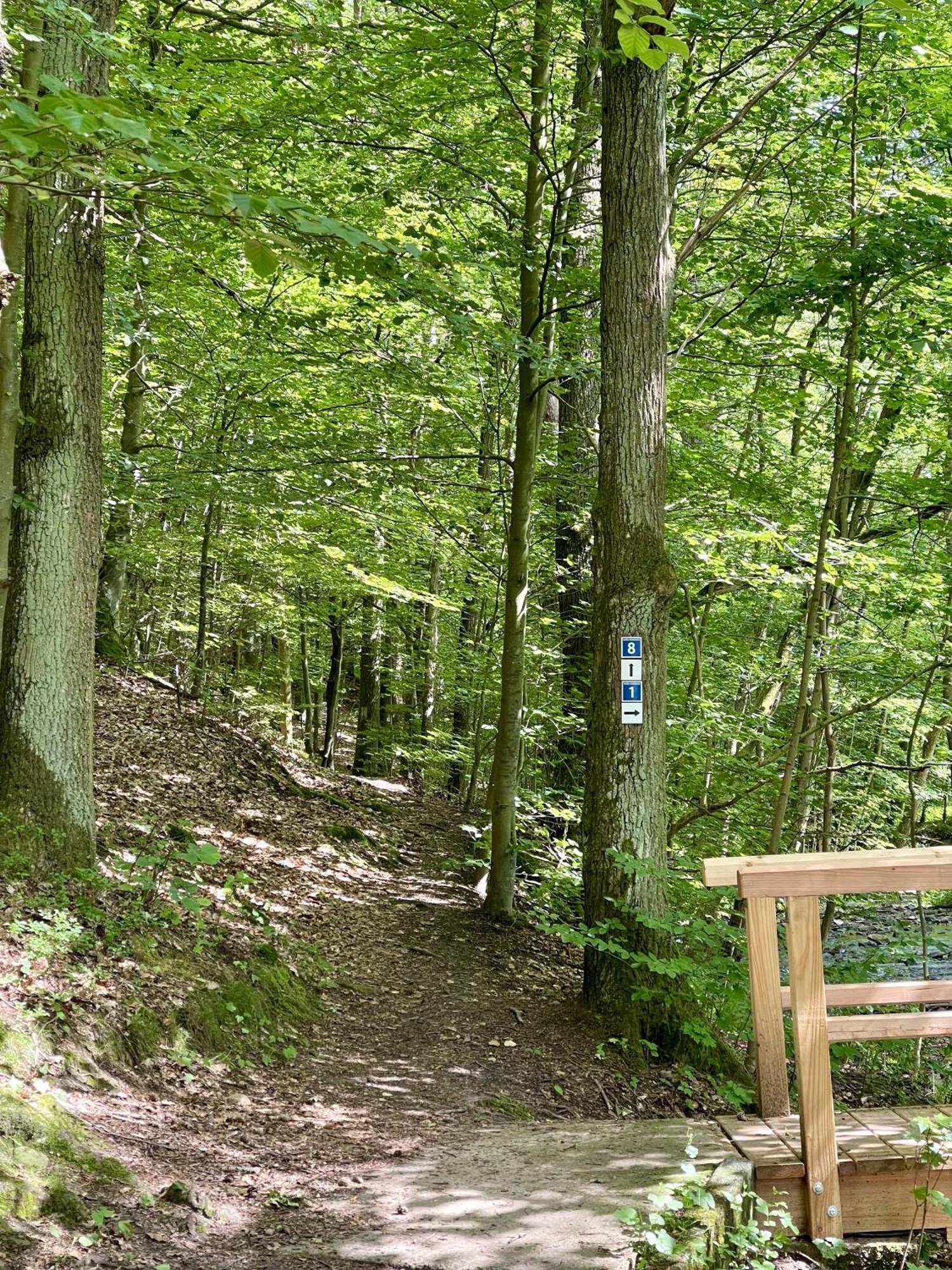 Landhotel Hubertus Unterelsbach Kültér fotó